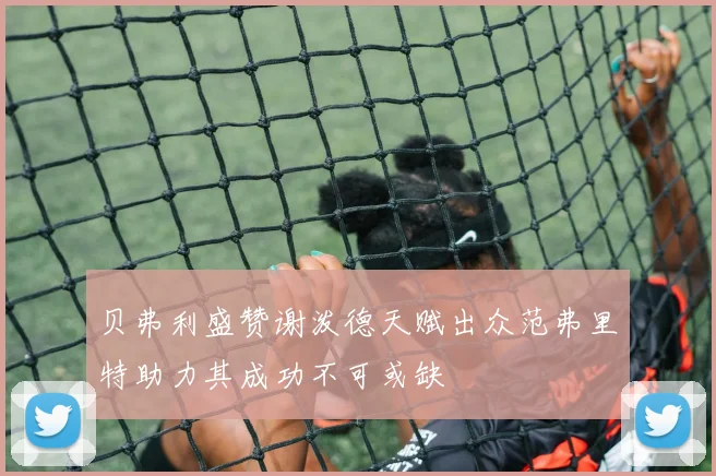 贝弗利盛赞谢泼德天赋出众范弗里特助力其成功不可或缺