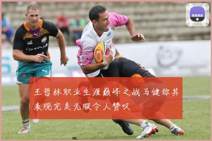 王哲林职业生涯巅峰之战马健称其表现完美无瑕令人赞叹